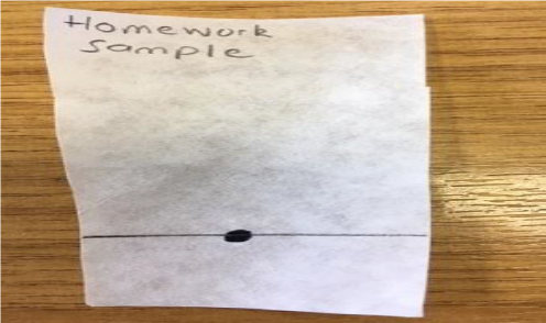 paper home work sample