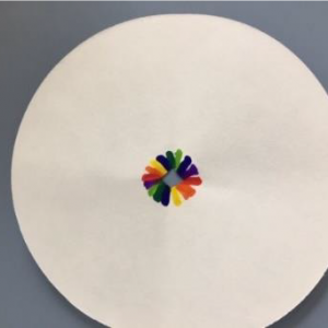 paper with a small circle